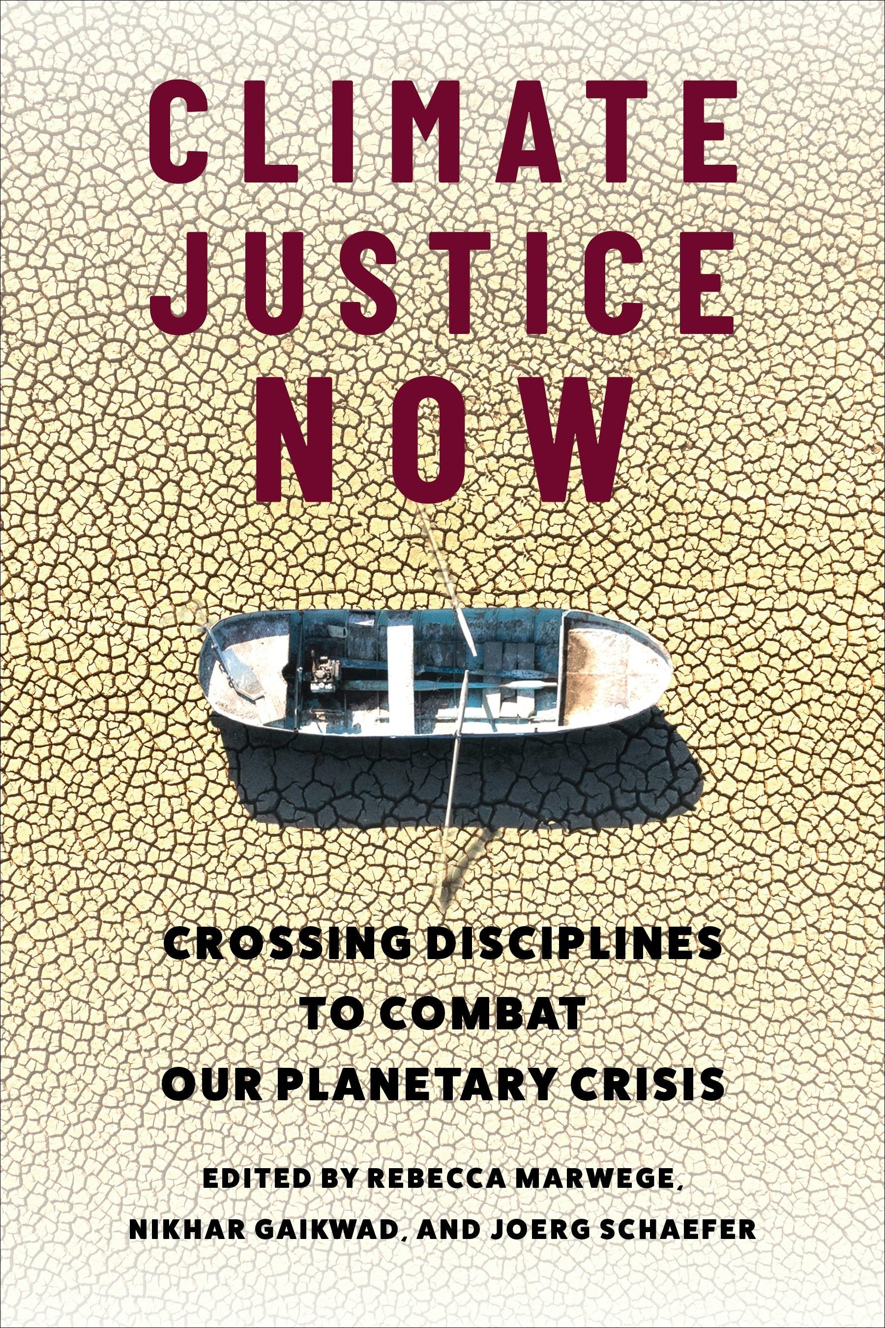 Book cover image for Climate Justice Now ISBN: 9780231220248